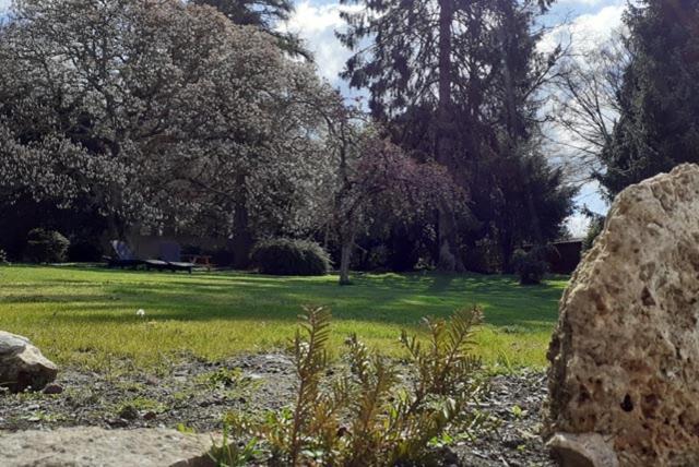 Les Appartements Fenelon Le Cateau-Cambresis Εξωτερικό φωτογραφία